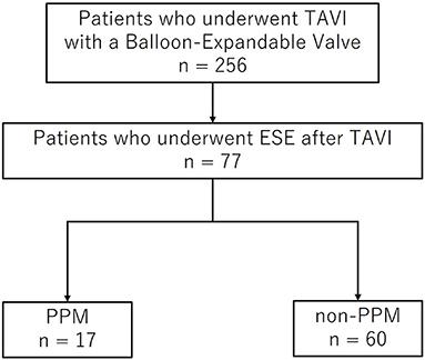 Impact of Prosthesis-Patient Mismatch on Hemodynamics During Exercise in Patients With Aortic Stenosis After Transcatheter Aortic Valve Implantation With a Balloon-Expandable Valve